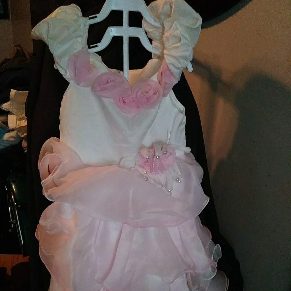 Beautiful formal wear toddler dress.